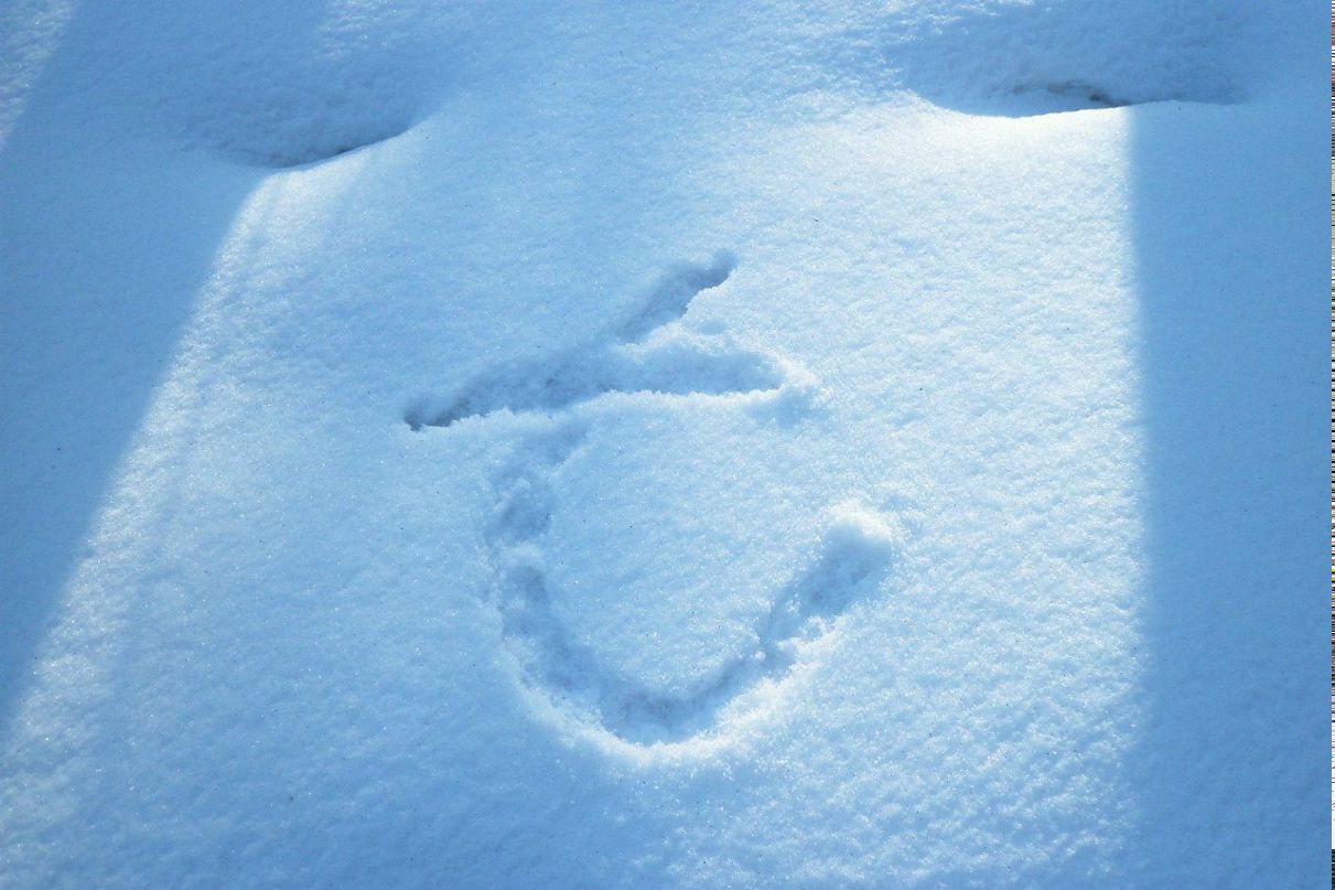 Татьяна Гаврюкова ~Туманка~ | Пермь