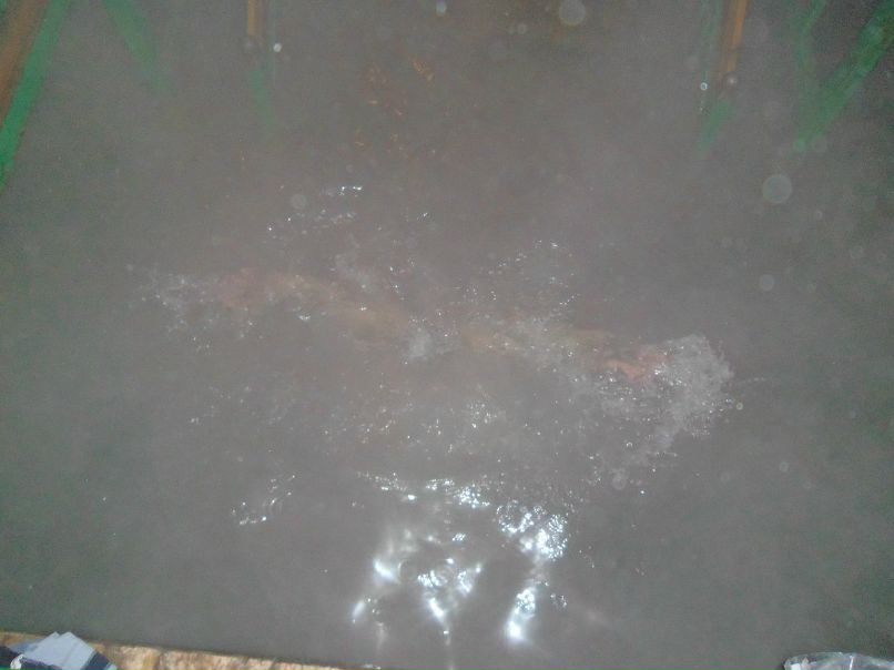 Вова Лобов | Новосибирск