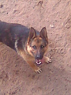 Жека Астунин | Ижевск