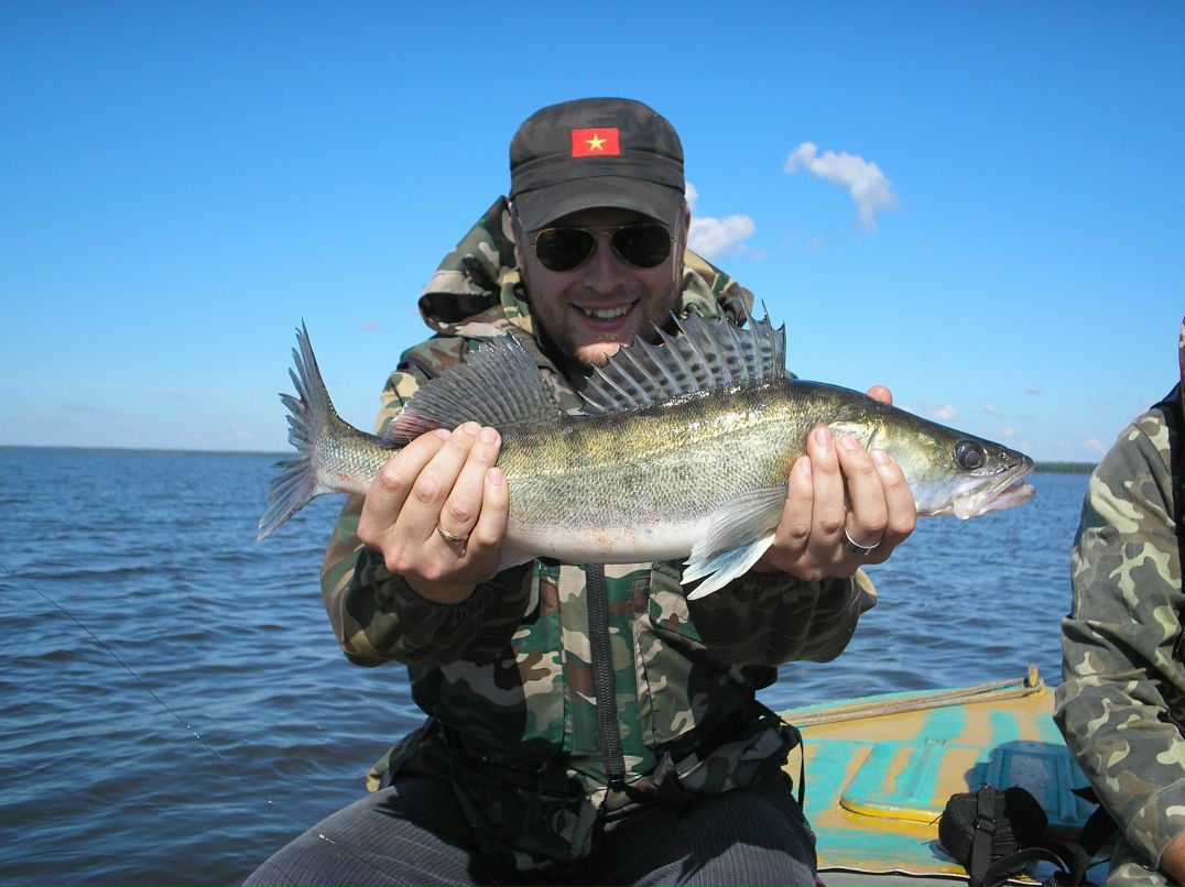 Алексей Матюшкин Potroshitel | Москва