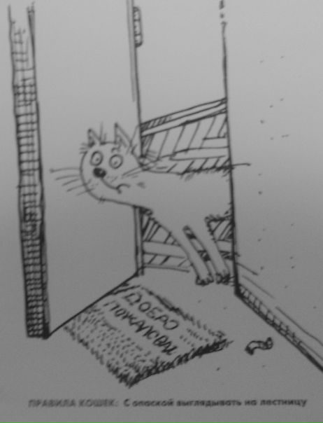 №49, Сергей Мухин, 37 лет, Москва №49, Сергей Мухин, 37 лет, Москва