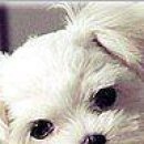 №96, Елена Тараненко, Калининград №96, Елена Тараненко, Калининград