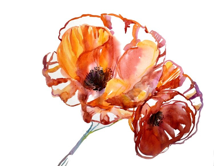 Аделя Сушко | Волгоград