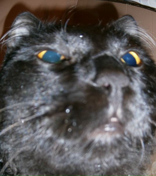 №112, Евген Абрамов, Москва №112, Евген Абрамов, Москва