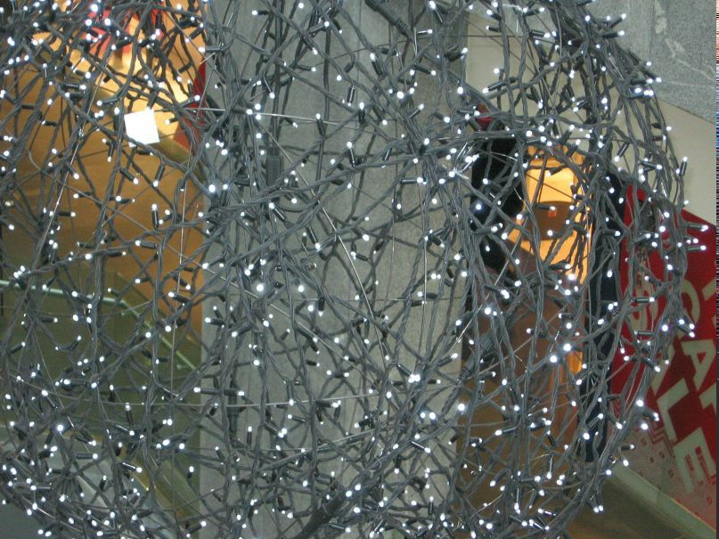 Вікторія Петрова | Запорожье