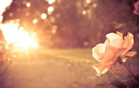 №162, Анастасия Еременко, 41 год, Нижний Новгород №162, Анастасия Еременко, 41 год, Нижний Новгород