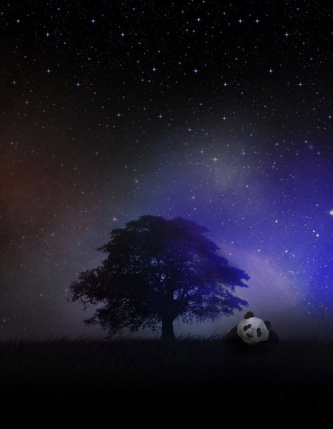 Константин Дегтярев ▼ | Москва