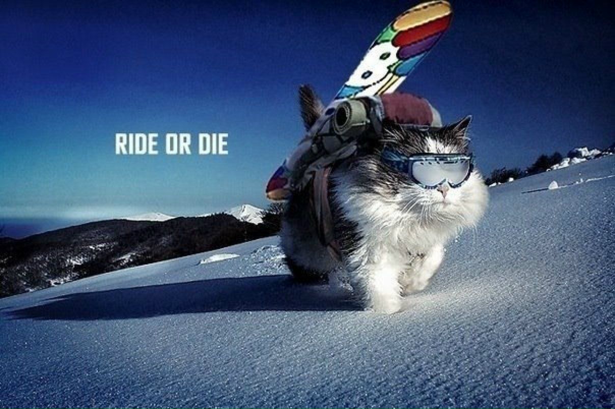 Наталья Горынцева | Москва