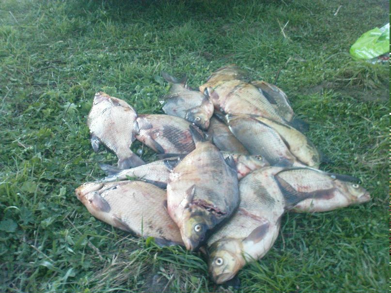 Василий Свистунов | 