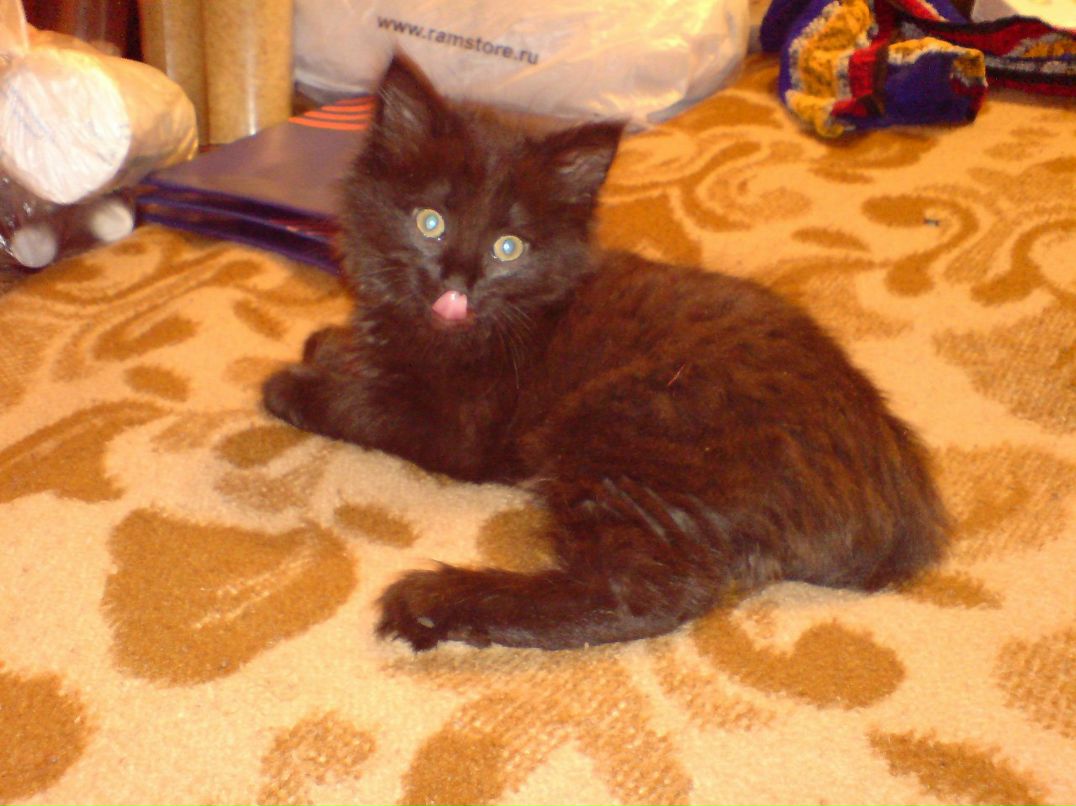 Влад Васильев | Москва