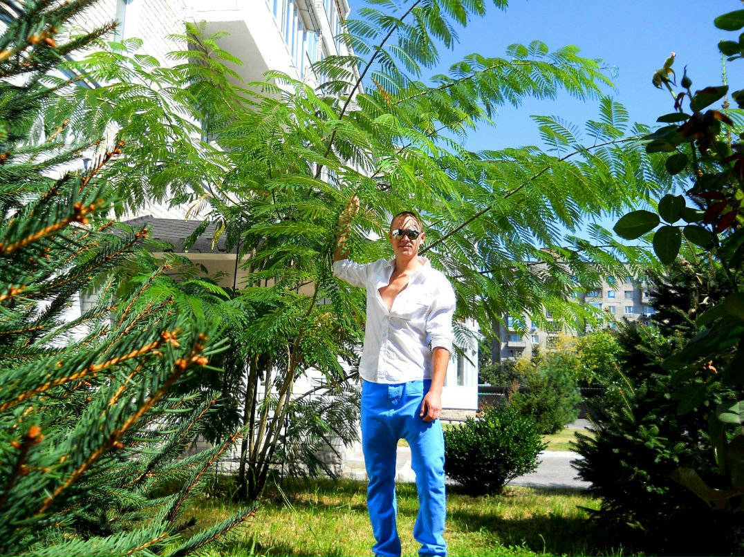 Артем Пакман | Киев