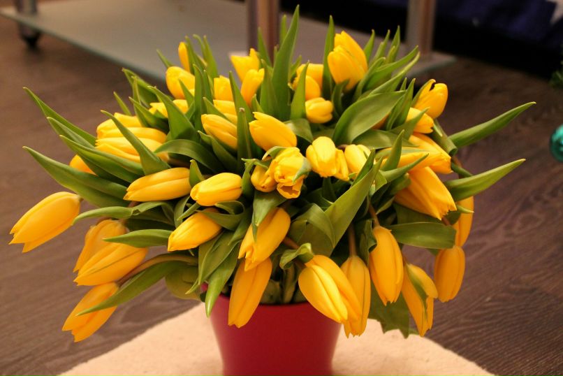 Ксюша Казаренкова ツ | Выборг