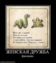 Дарья Большакова, 33 года, Череповец, Россия, 30.07.1991