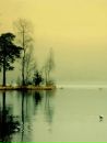 №34 Лёха Суюшев : профиль, фото, статус - ВКонтакте