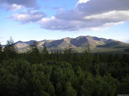 №75, Дмитрий Возняк, Омск №75, Дмитрий Возняк, Омск