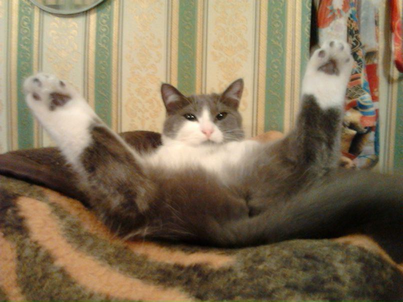 Татьяна Белоконь | Одесса