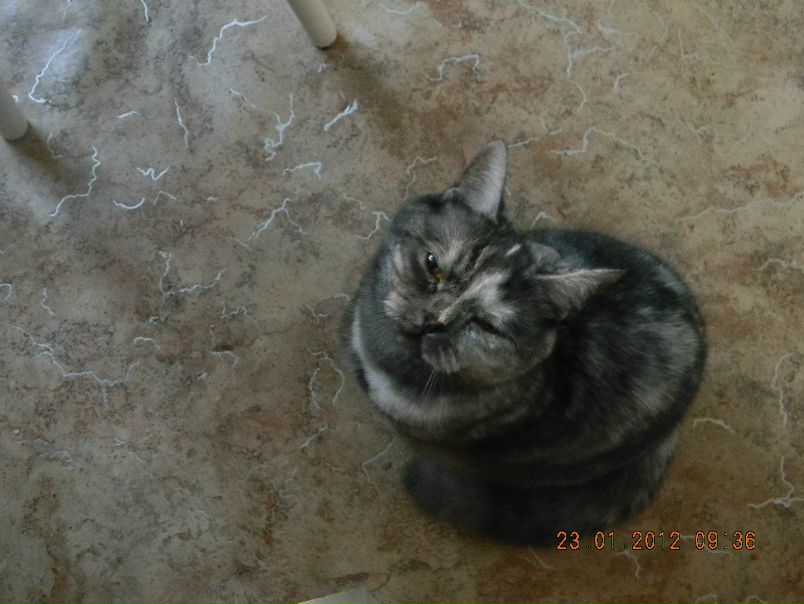 №44, Наталья Умнова, Нижнекамск №44, Наталья Умнова, Нижнекамск