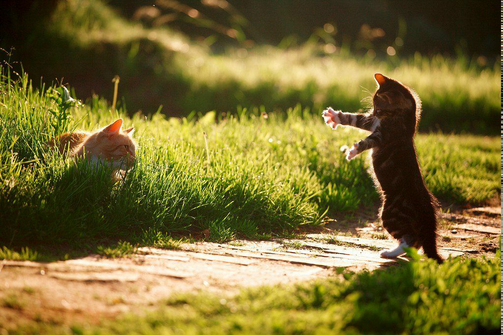 Адель Жаббарова | Нижний Новгород