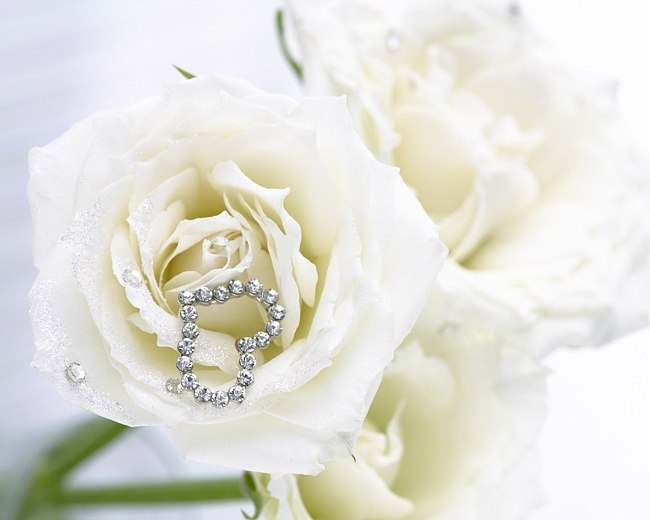 Настя Щукина | Вологда