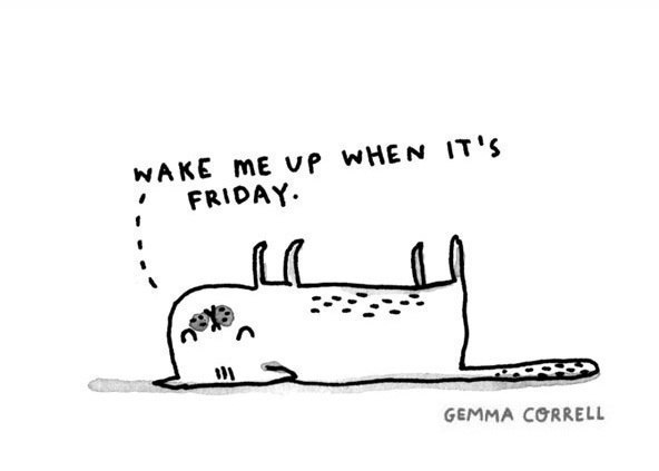 Антон Давыдов | Ставрополь