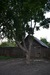 Владимир Дворников фотография #39