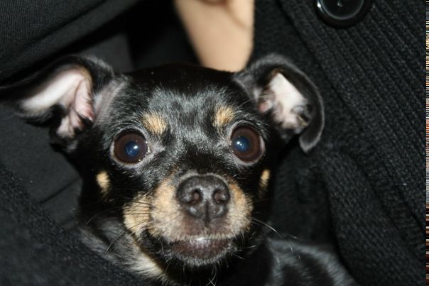 №1, Андрей Лепко, Красноярск №1, Андрей Лепко, Красноярск