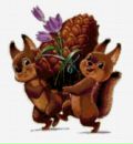 №14 Ольга Исакова 29.05: профиль, фото, статус - ВКонтакте