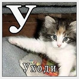 №126, Анастасия Остапчук, 34 года, Одесса №126, Анастасия Остапчук, 34 года, Одесса