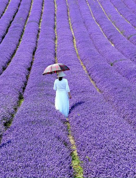 №63, Полина Сибагатуллина, 49 лет, Санкт-Петербург №63, Полина Сибагатуллина, 49 лет, Санкт-Петербург