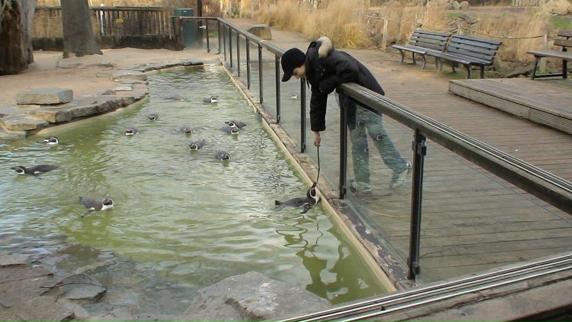 Вячеслав Солоденко | Одесса