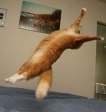 №60, Ольга Гопали, 49 лет, Санкт-Петербург №60, Ольга Гопали, 49 лет, Санкт-Петербург