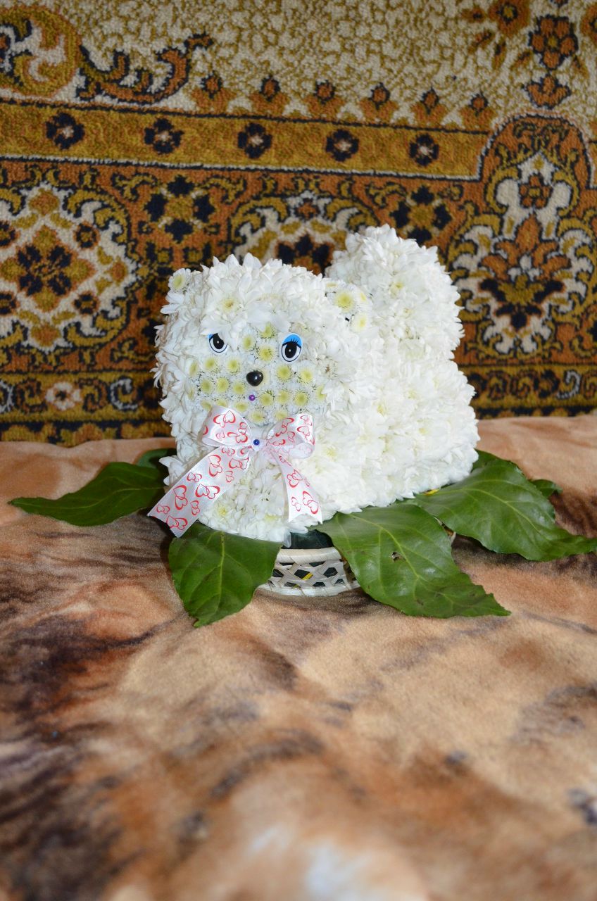 Екатерина Курышина | Лыткарино