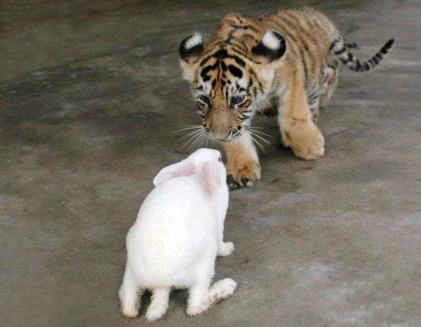 №14, Валерий Чернов №14, Валерий Чернов