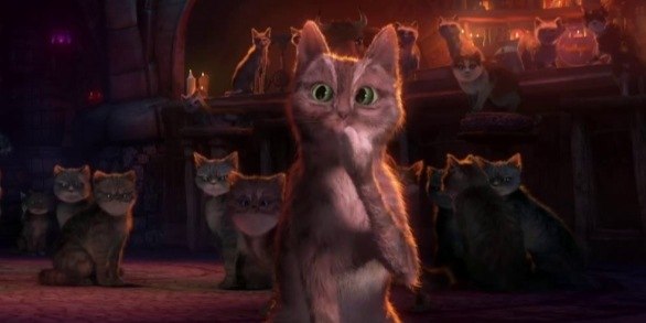 Александр Звычайный | Иркутск