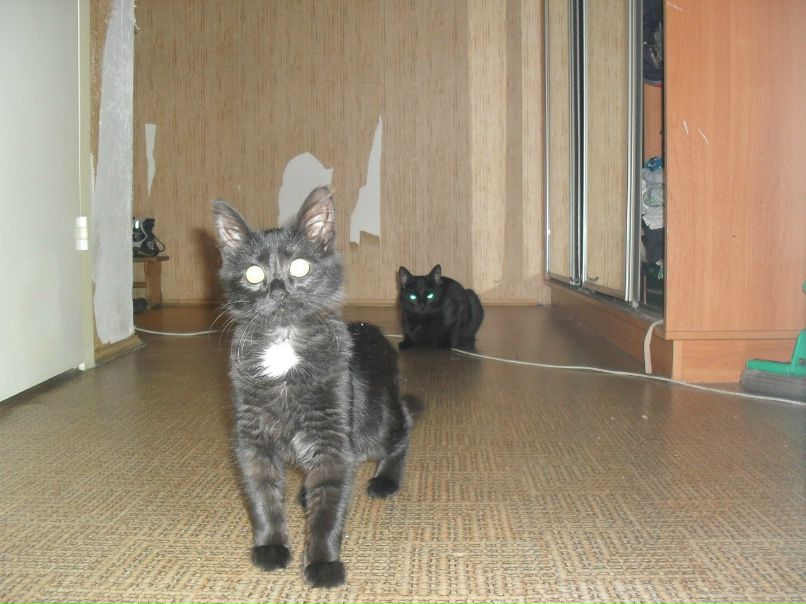 Федор Шорнин FairYng | Кингисепп