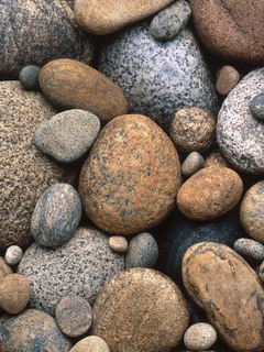 Галина Манкевич | Минск