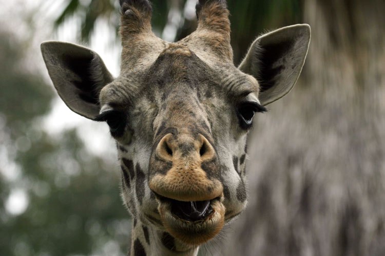 Виктор Савин | Воскресенск