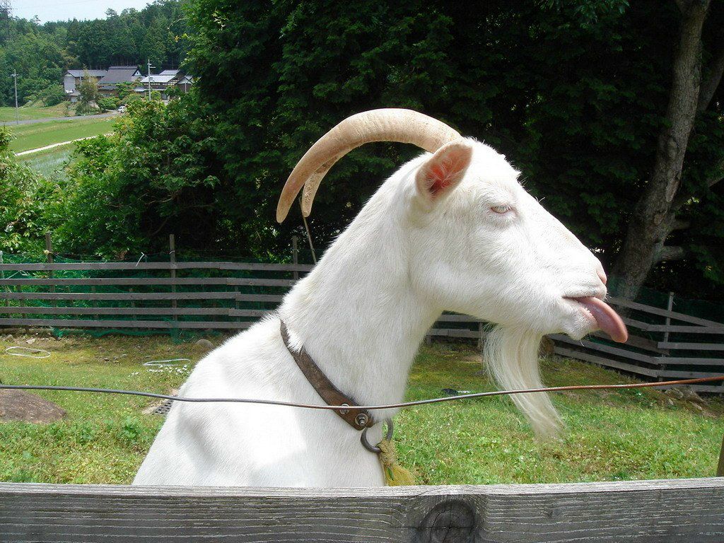 Глеб Калмыков | Москва