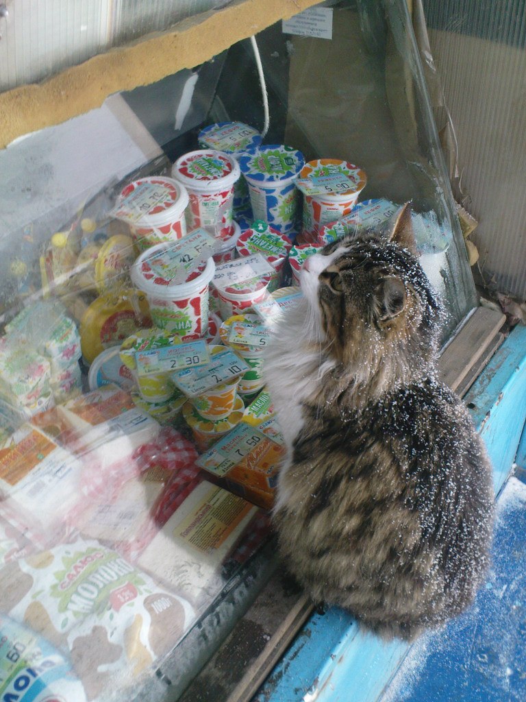 Андрей Телятник | Одесса