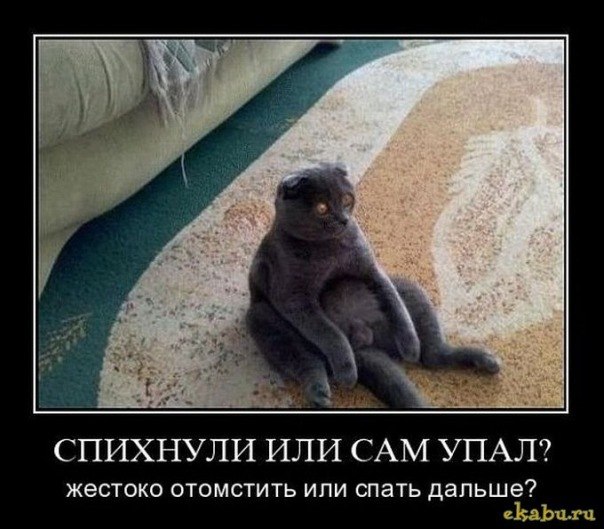 №1, Алефтин Игнатульских, Санкт-Петербург №1, Алефтин Игнатульских, Санкт-Петербург