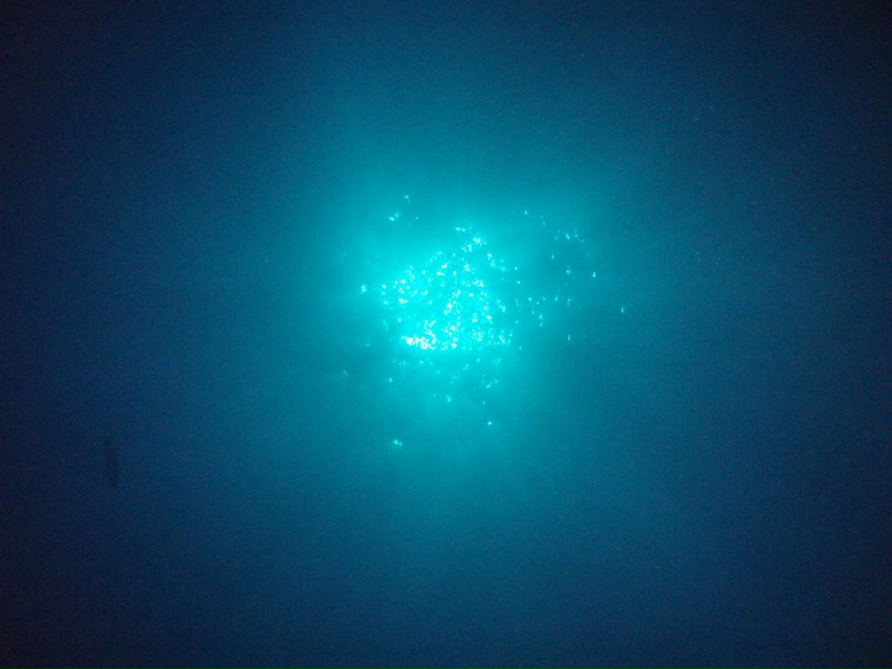 Таня Токарская | Одесса