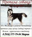 Фотография Валерия Котова