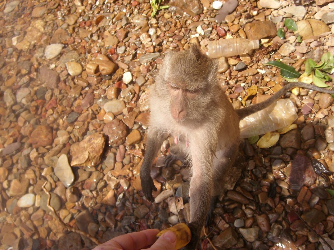 Марат Козлов | Нижний Новгород