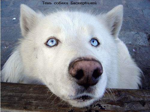 Вячеслав Быков Agronom4ik | 