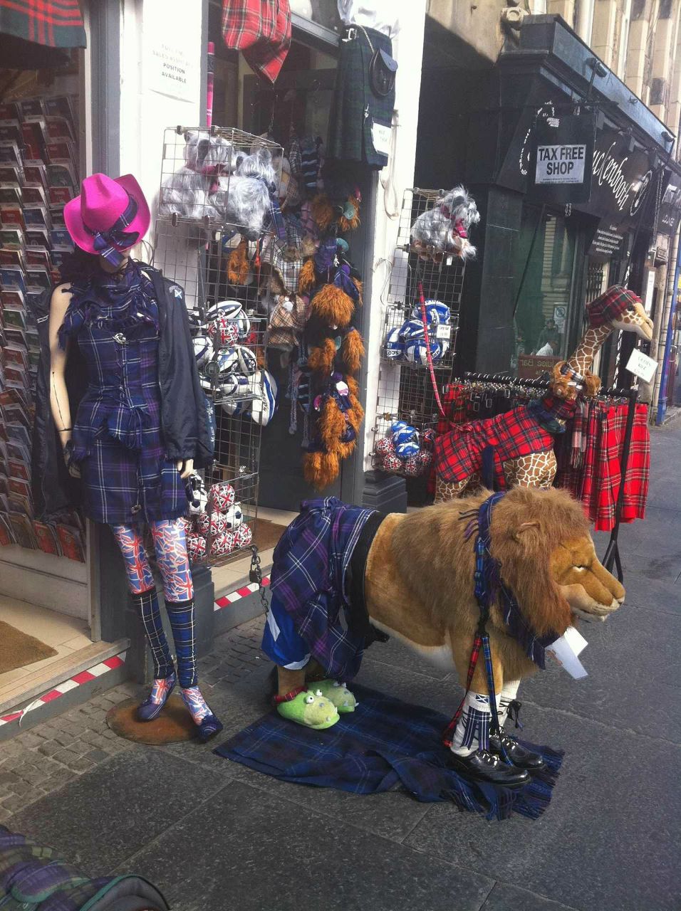 Екатерина Тимофеева | 