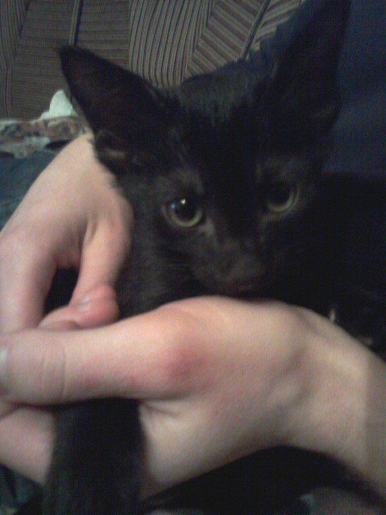 Екатерина Шалина | Санкт-Петербург