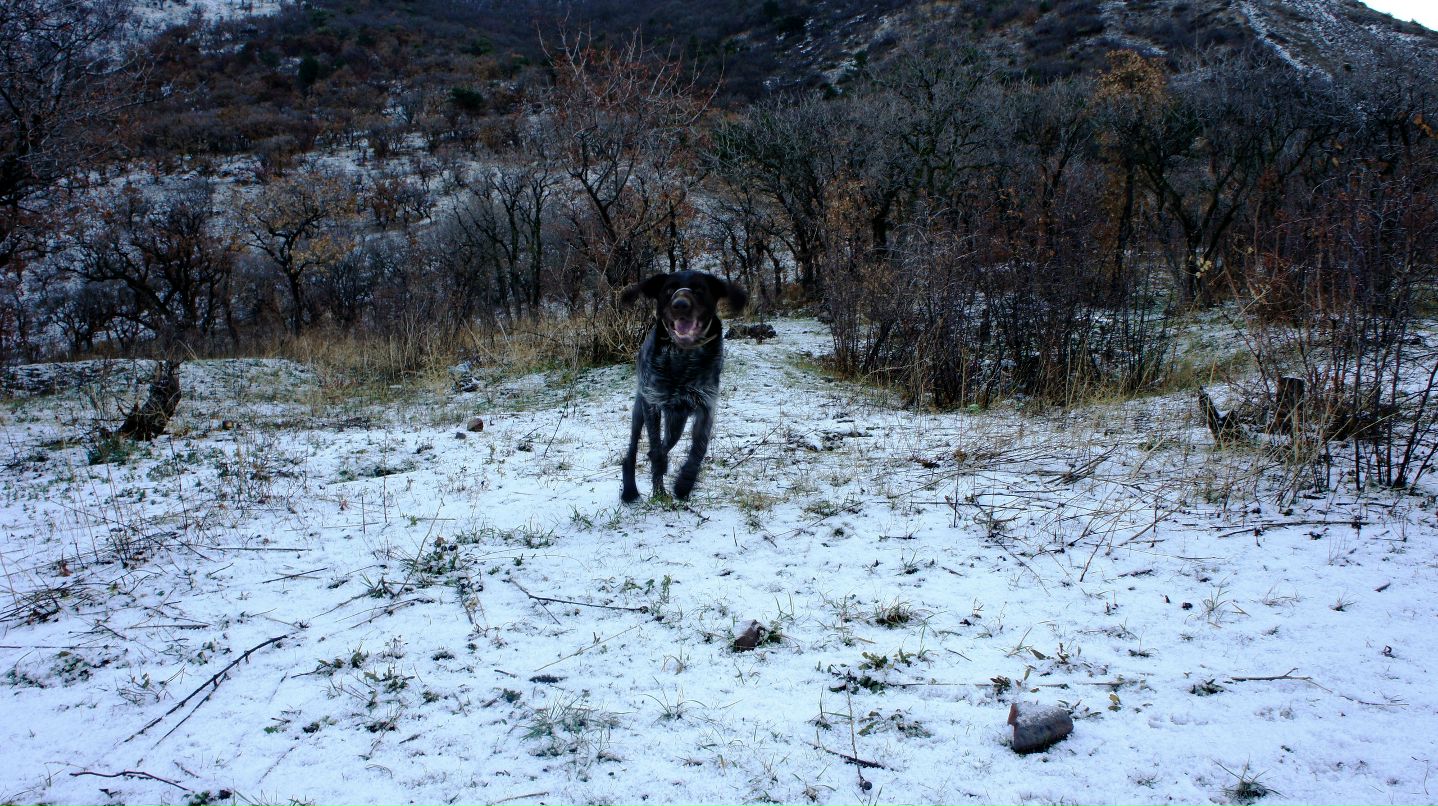 Рустам Шарафутдинов | Новороссийск