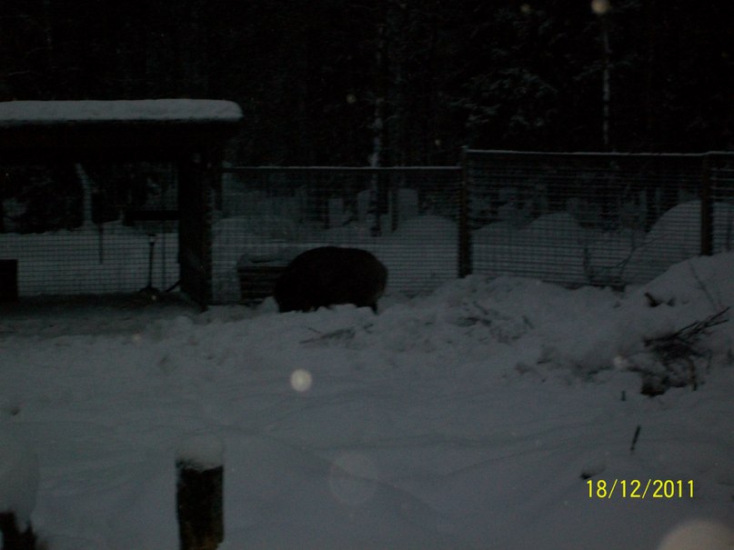 Алина Ескина *без подруги не как* | Костомукша