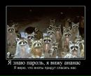 Фотография Анастасия Санникова