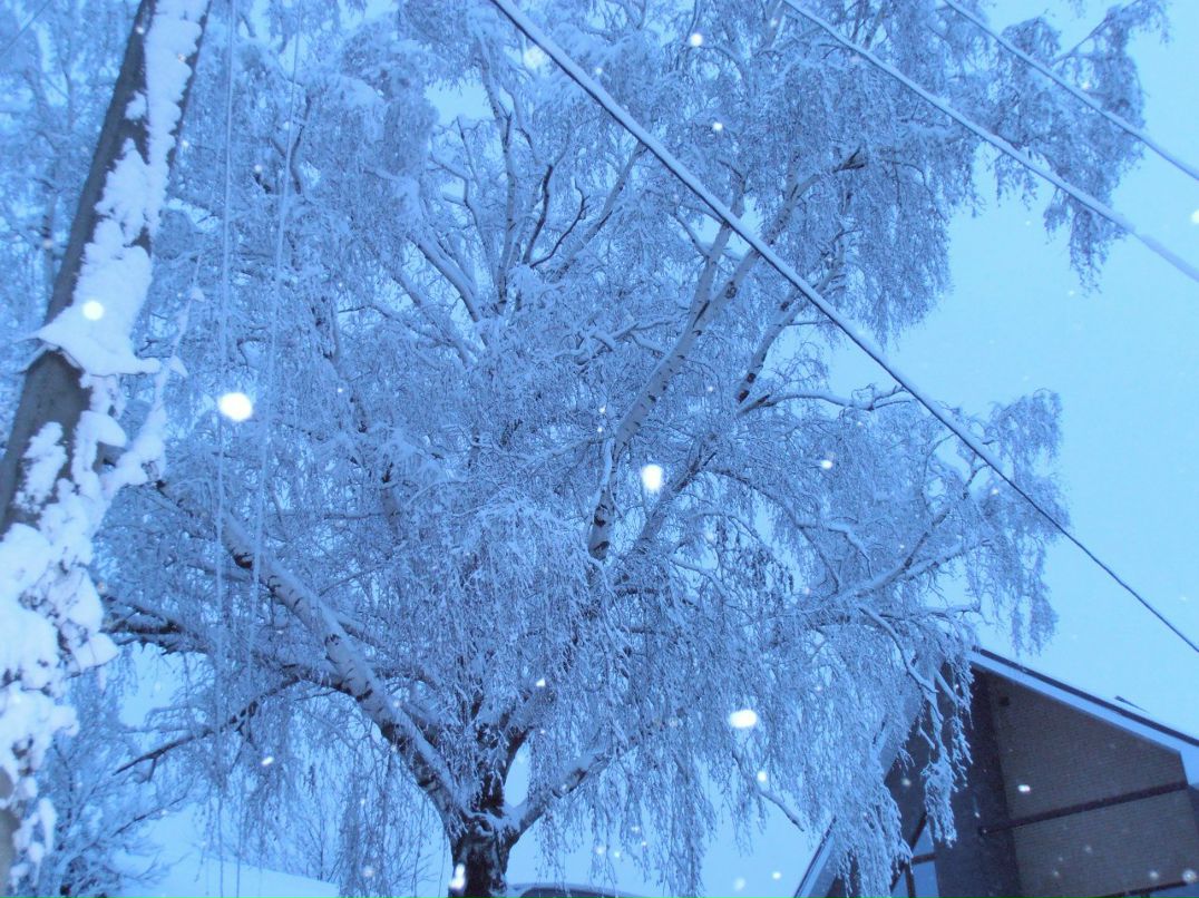 Анна Мирошниченко | Ростов-на-Дону